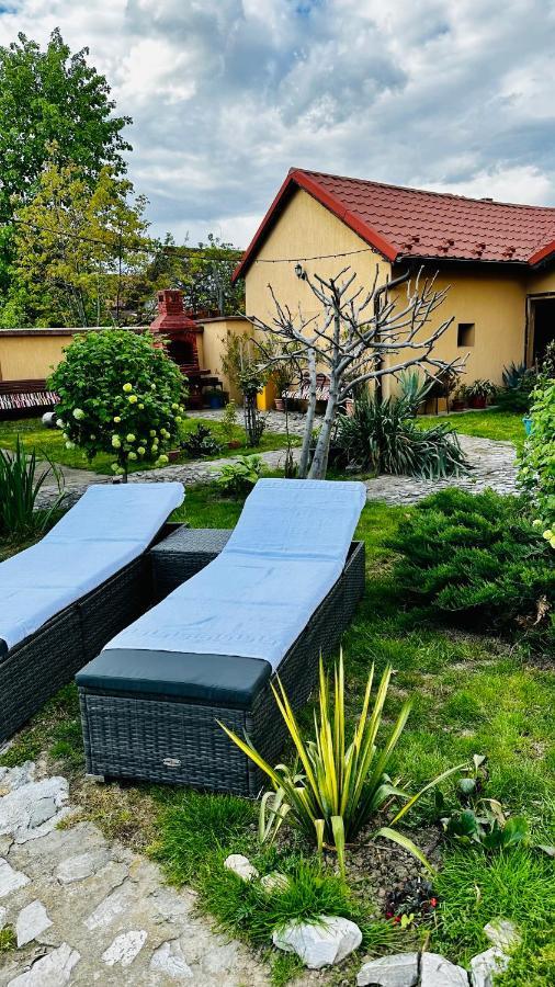 Апартаменты Leto House Тыргу-Жиу Экстерьер фото